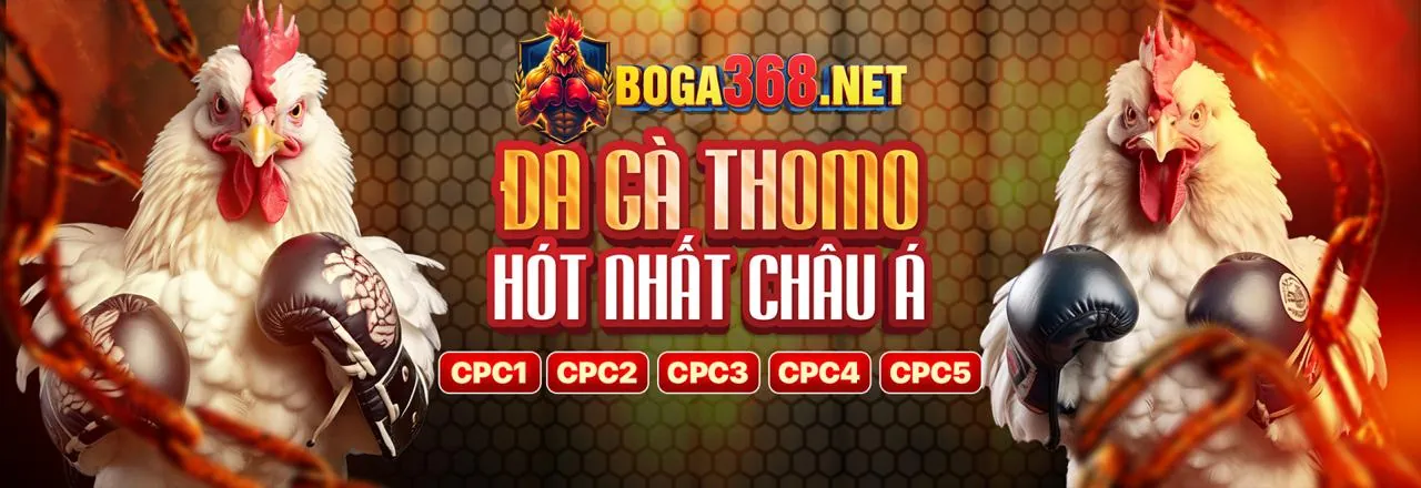 Đá gà trực tiếp tại 33win4 app