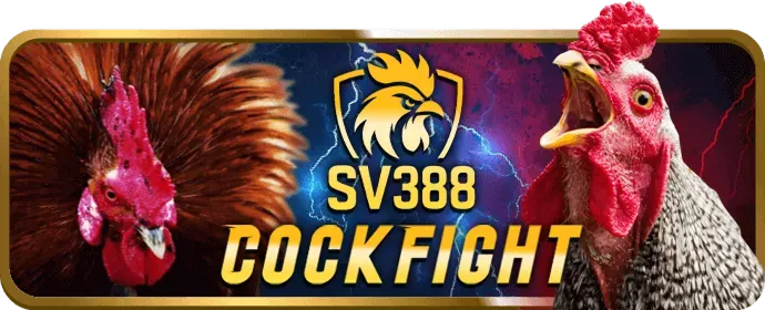 Bước 3 Tham Gia & Đặt Cược 33win4 App